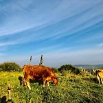 Atico La Pace Dei Sensi Апартаменты *